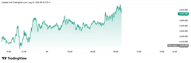 3.webp
