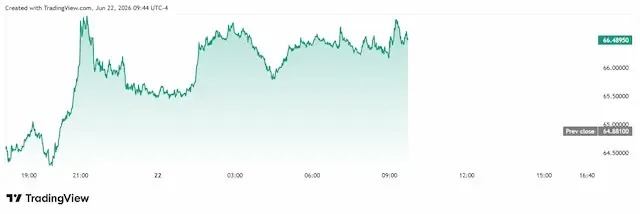 4.webp