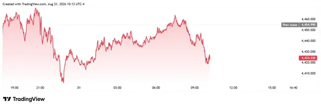 4.webp