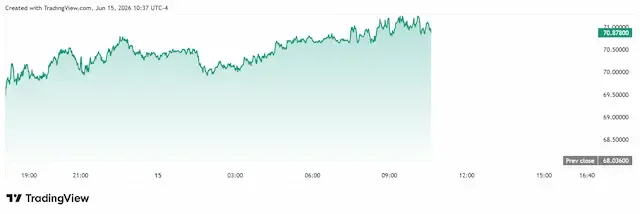 5.webp