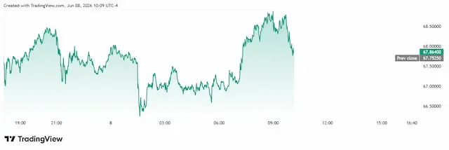 5.webp
