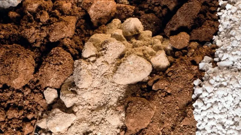 Aclara secures $20m of property tax exemptions in Louisiana ahead of rare earths processing build