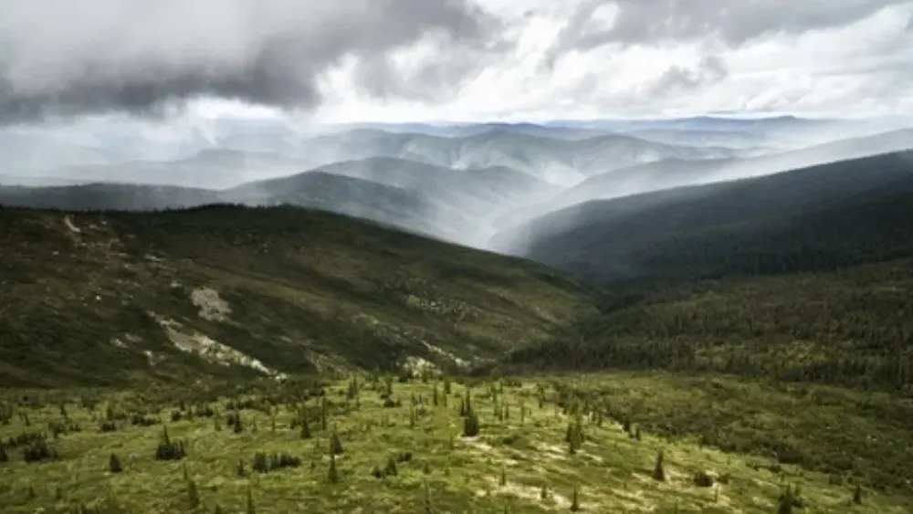 Agnico Eagle-backed Fuerte Metals changes name to Talamore Mining