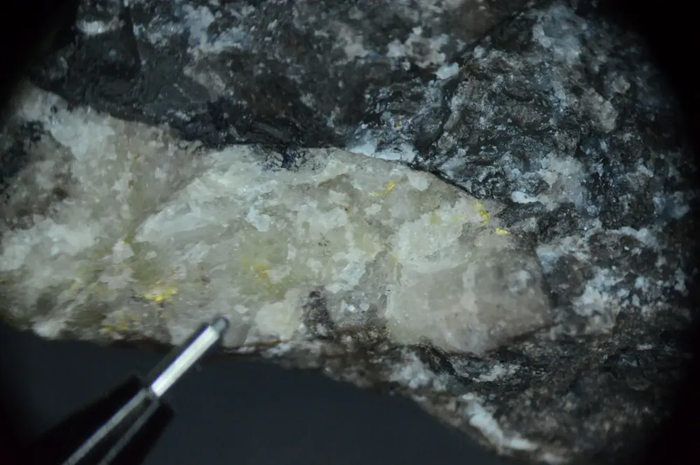 Arizona Gold & Silver Reports Multiple High-Grade Intercepts Including 3.35m of 15.07 gpt Gold and 19.6 gpt Silver – Expands High-Grade Philadelphia Zone