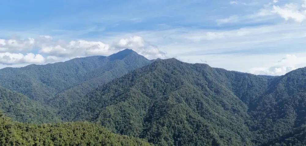 Auro Intersects 542m Grading 0.60 g/t Gold and 0.12% Copper at the Santa Barbara Gold-Copper Project, Ecuador