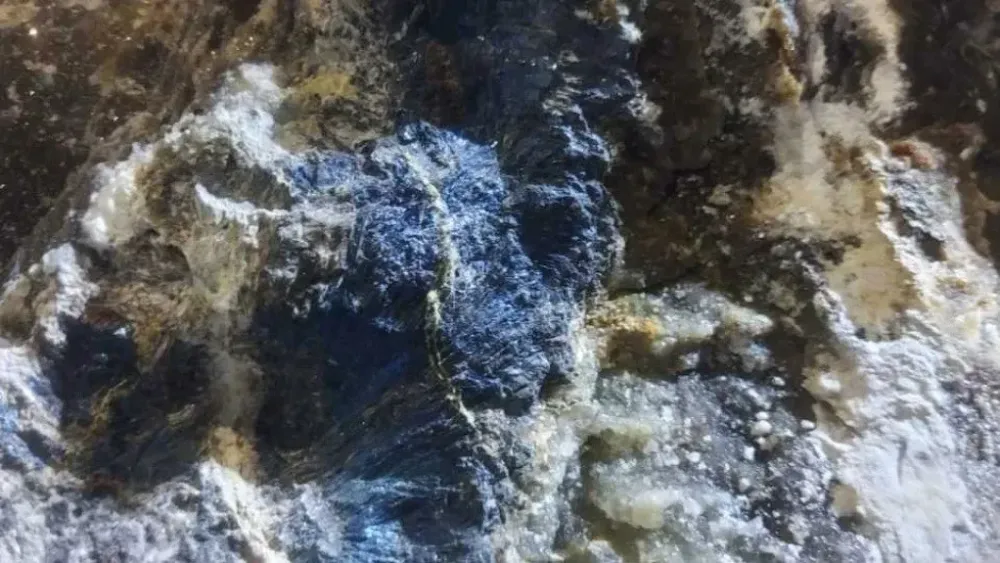 Blue Moon Metals secures massive tungsten, antimony land tenure in western US