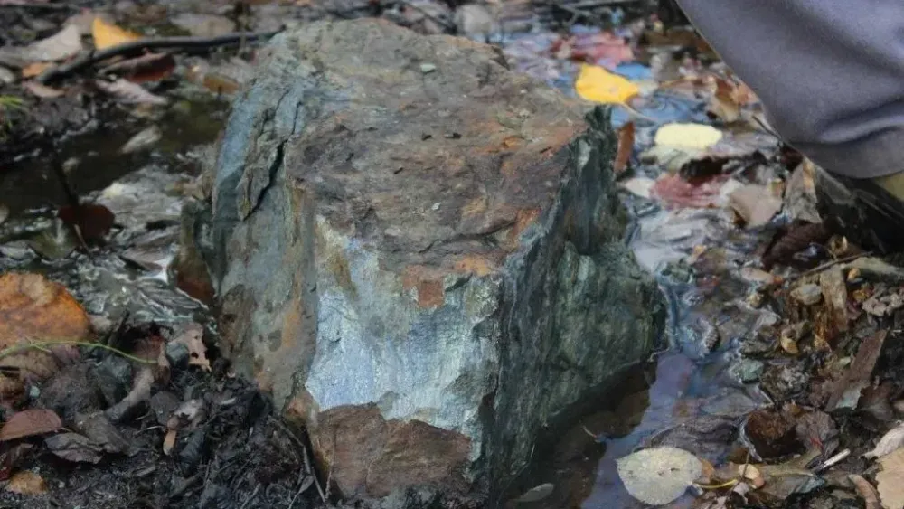 Canadian critical metals explorer Nine Mile Metals starts trading in US