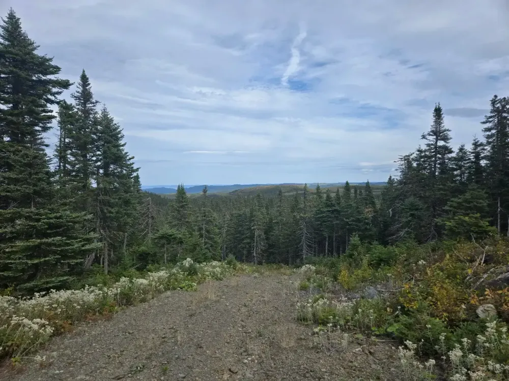 Gold Hunter Resources Awards Equity Exploration Contract for the 2026 Inaugural Drill Program at Great Northern and Appoints Jeff Wilson as an Advisor to the Board