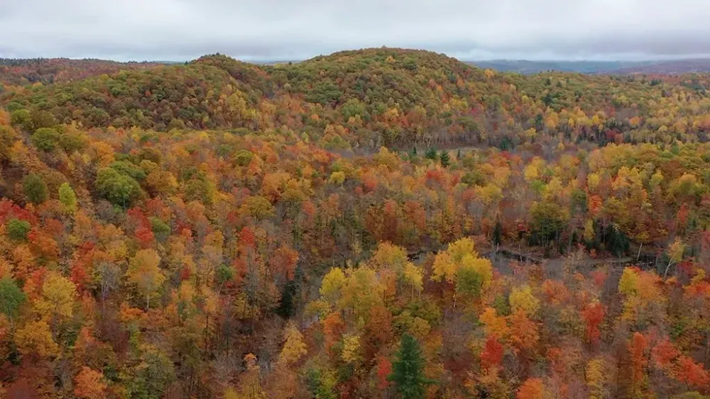 Richmond Hill appoints Canadian contractor to lead Martello exploration