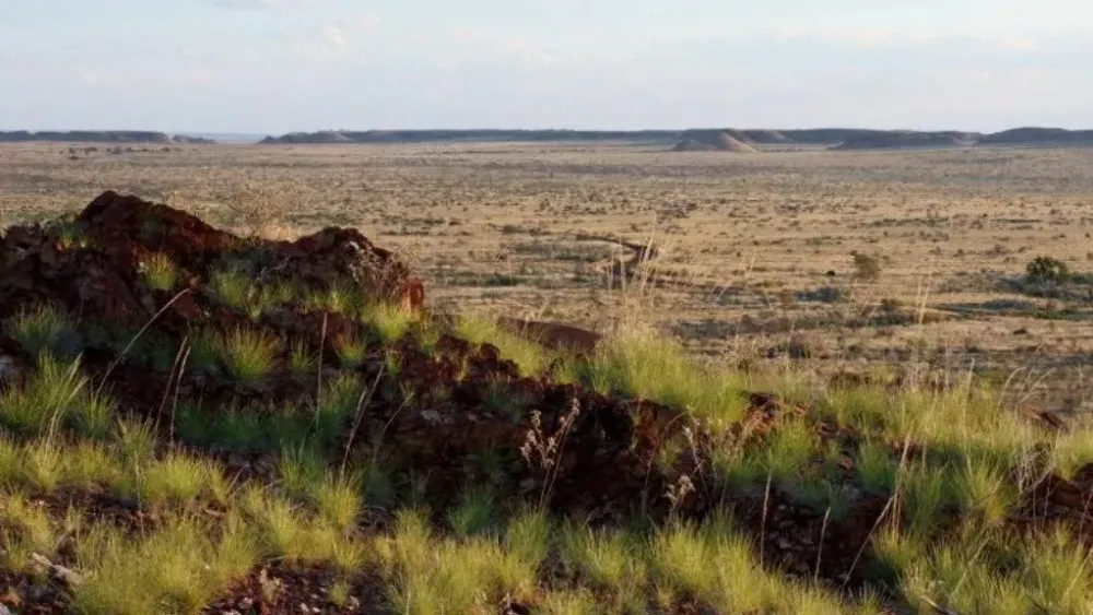 Rincon offloads Laverton assets, plans West Arunta sale or JV