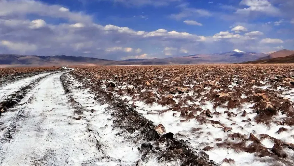 Rio Tinto assesses new lithium plant in Argentina, copper opportunities