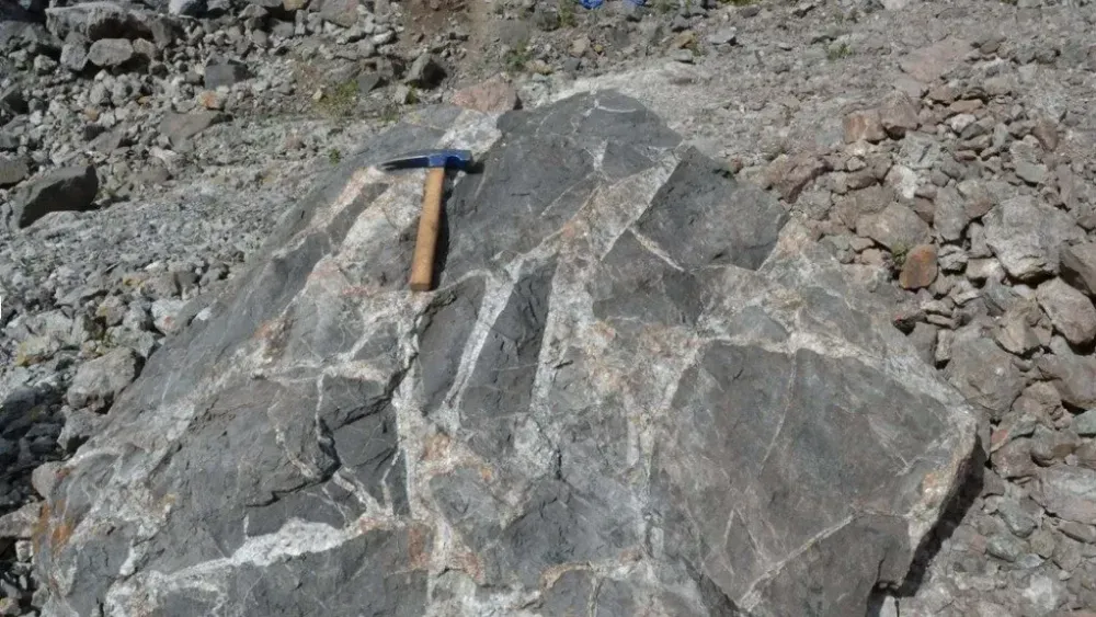 TDG expects PEA on Shasta gold, silver project in third quarter