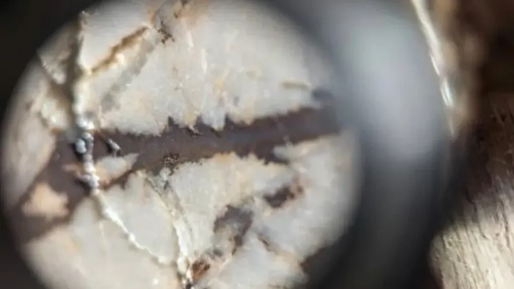 TSX-V welcomes newest copper, gold explorer GoldInxs