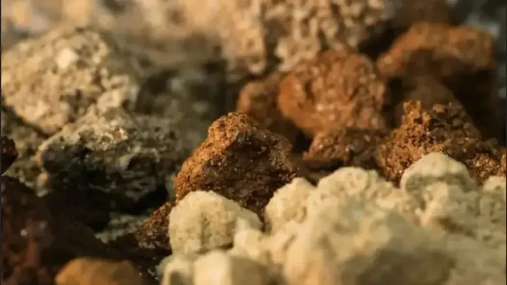 US govt to award Aclara with federal funding for AI rare earths seperation project