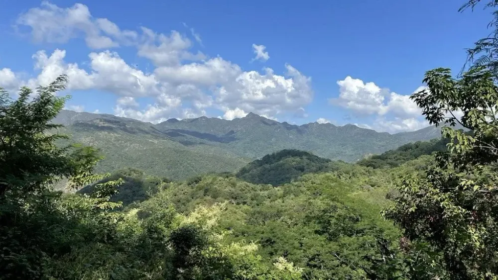 Vizsla Silver says 10 people abducted from Mexico project