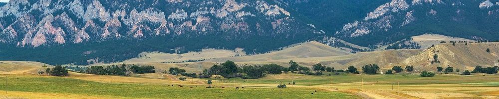 CK Gold Project: Advanced-Stage Gold, Copper, and Silver Development